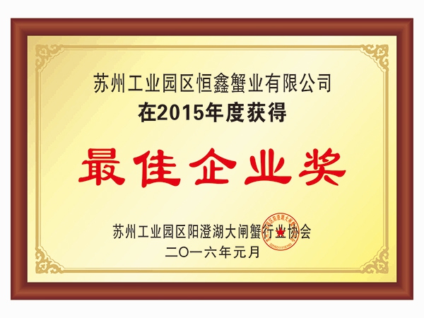 2015年最佳企业奖